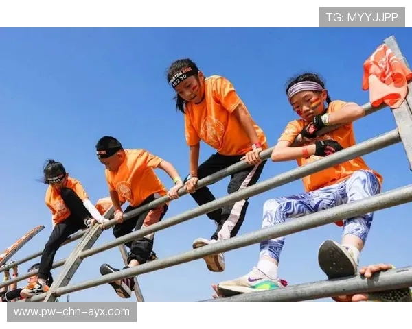 那些年我们追过的赛事：感动与激情的交织，感动的比赛