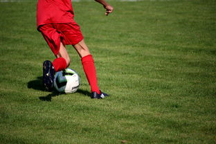爱游戏官网-NBA球员技术动作进阶训练，nba球员训练方式